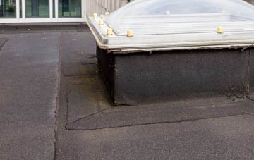 disadvantages of Tholthorpe flat roofs