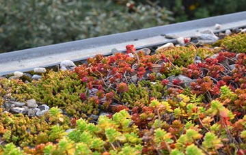 the cost of Tholthorpe green roof installation