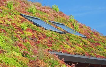 Tholthorpe living roof systems