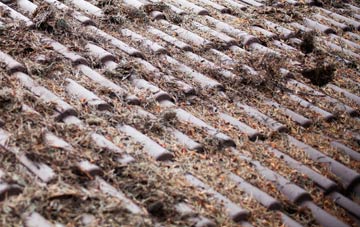 Tholthorpe roof cleaning companies