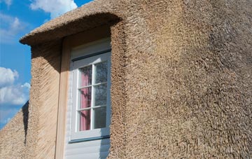 Tholthorpe thatch roof disadvantages