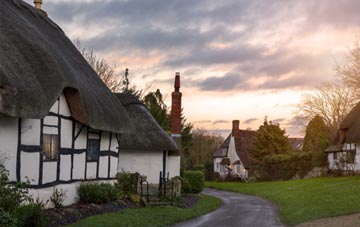 is Tholthorpe thatch roofing popular