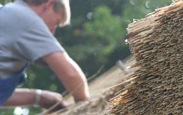 professional Tholthorpe thatchers