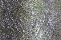 Tholthorpe fibreglass roof work